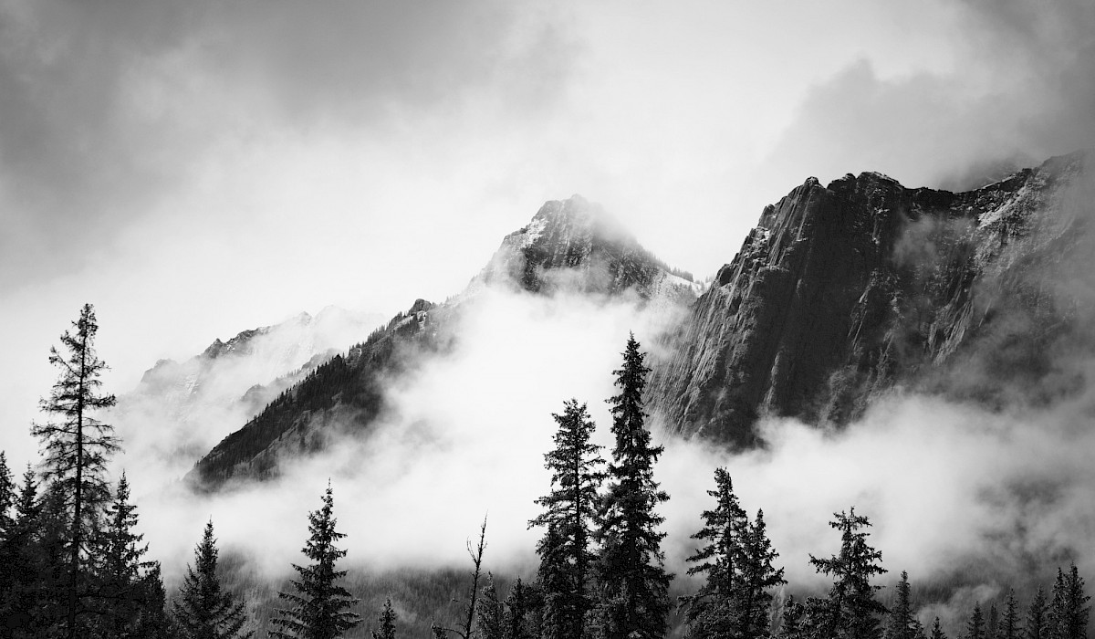black and white image of a foggy morning in the mountains